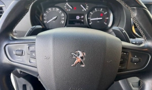 Peugeot Traveller
